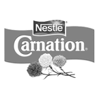 carnation
